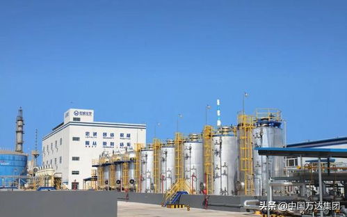 東營2021年重點項目觀摩 萬達集團四大項目引領產業升級，助推國內旅游業務發展