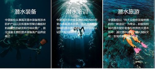潛水公司加速趕頂，終須一別 從溫州幫現象看國內旅游業務轉型